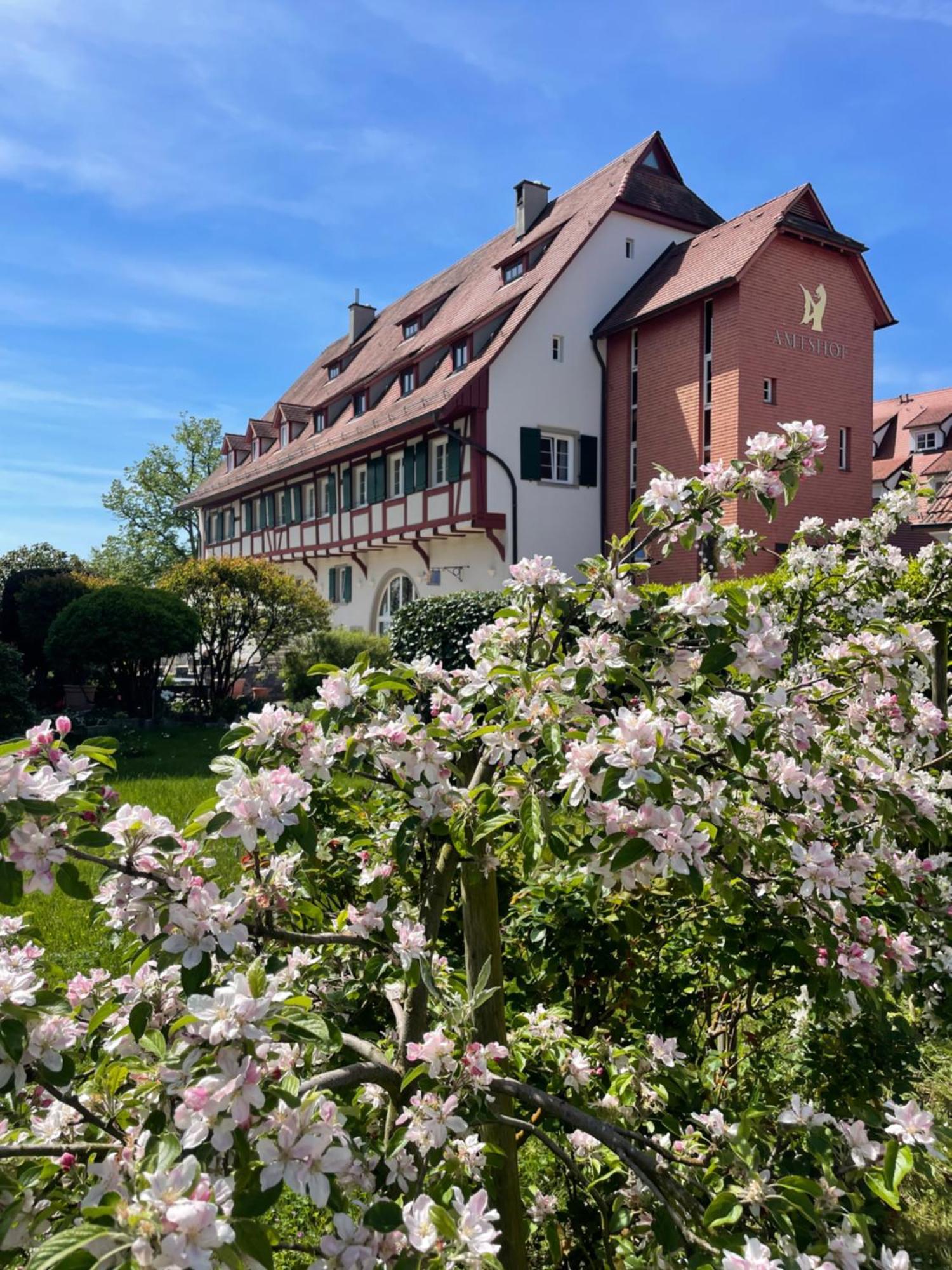 Seehotel Amtshof Langenargen Esterno foto